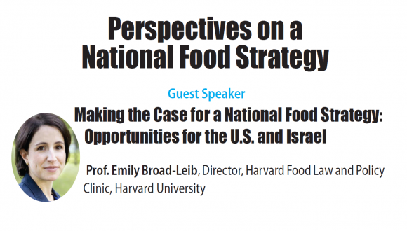 Perspectives on a National Food Strategy