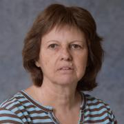 Varda Shmulevich